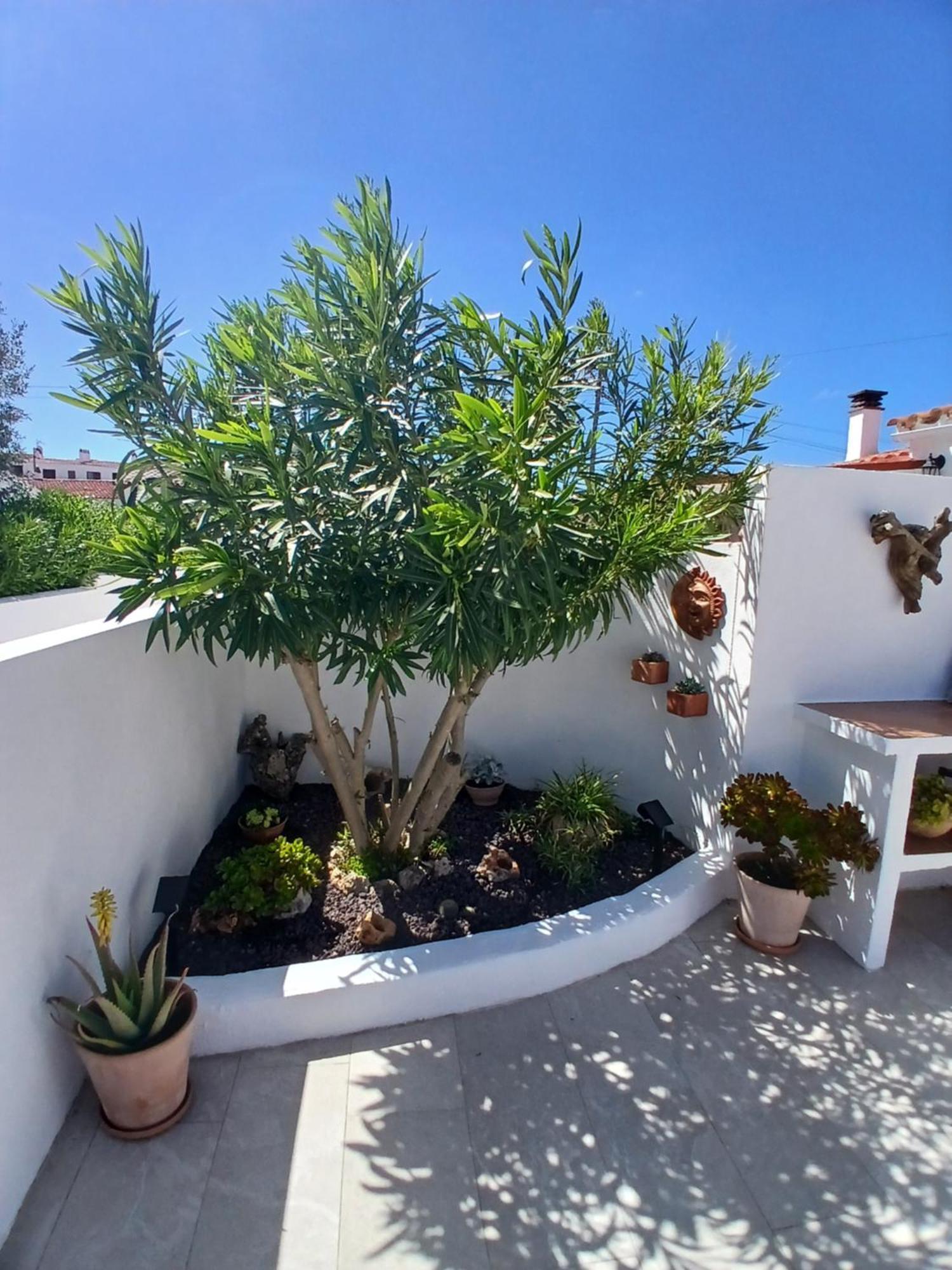 Tramontana Villa Cala En Porter  Exterior photo